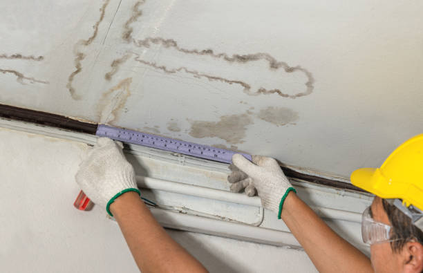 Reliable Water Damage contractor in Gaines, MI by Water Damage Irwin